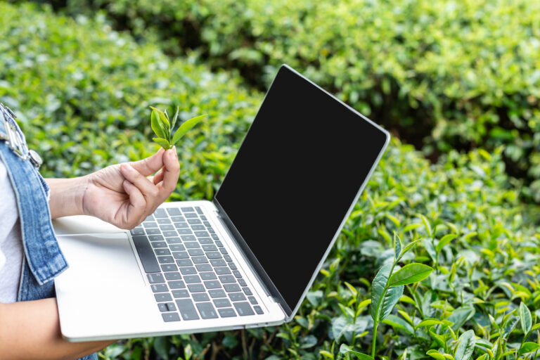 farmers-holding-tablets-check-tea-modern-concepts